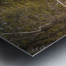 Enchanting Cascades: Coolidge Cascade Impression metal