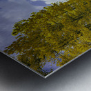 Whispers of Nature: Grace Coolidge Creeks Tranquil Reflections Metal print