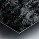 Small Pine on a Rock Metal print