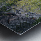 Apsen Grove on a Hill Metal print