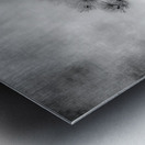 Serene Sylvan Lake: Alone on the Hill Metal print