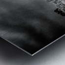 Sylvan Shadows: A Moody Encounter with Natures Drama in Custer State Park Metal print