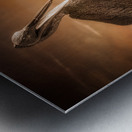 Coastal Serenity: Sunset Silhouette of A Pelican Wood Carving Metal print