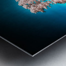 Mystical Dreamworlds: Out There in Windcreek  Metal print