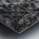 Eufaula Elegance: A Monochromatic Journey Through Time Metal print