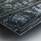 Mueller Aspen Series: Aspen Tree Trail Metal print