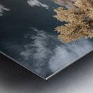 Scotchman Trail -2 Metal print