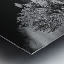 Garden Path - 2 Impression metal