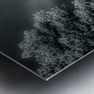 Muellers Mystique Metal print