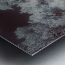 Natures Ancient Dance Metal print