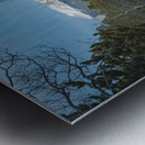 Mountain Meadow Serenity Metal print