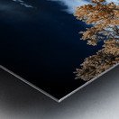 Garden Path Impression metal