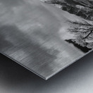 Monochromatic Majesty: A Dual Journey through the Garden of the Gods Metal print