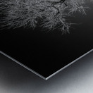 Winters Solitary Sentinel Metal print