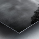 Fallen Sentinels: Rocky Mountain National Park Metal print