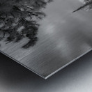 Sprague Lake Path Metal print