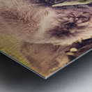 Mane of the Plains Metal print