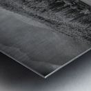 Wilderness Elegance: Moose in Rocky Mountain Park Metal print