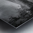 Mountain Melody: Sprague Lake Metal print