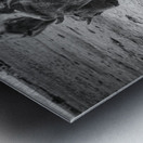 Bison Momma Impression metal