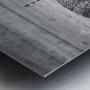 Wild Essence Captured Impression metal