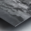 Wild Harmony - A Journey into Natures Beauty Metal print