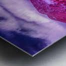 Chautauqua Chronicles: Pink Path Metal print