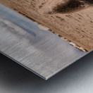 Snapshot from the Wild: Bison 316 Metal print