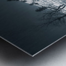 Chautauqua Chronicles: Fence in Winter Metal print