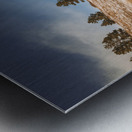 Chautauqua Chronicles: Pines on a Hill Metal print