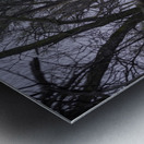 Nebraska Farm - 23 Impression metal