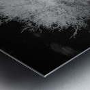 Nebraska Farm - 29 Metal print