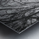 Nebraska Farm - 21 Metal print