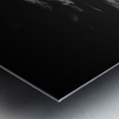 Whispers of Isolation in Monochrome Metal print