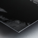 Fenceline Whisper in Monochrome Metal print