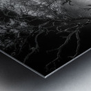 Island Path Metal print