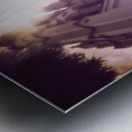 Infrared Cathedral Metal print