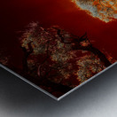 Ruby Bonsai: A Botanical Marvel Unveiled on Driftwood Beach Metal print