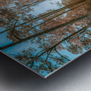 Spiritual Splendor: Capturing the Serenity of a Rural Church Impression metal