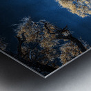 Blue Bonsai: A Botanical Marvel Unveiled on Driftwood Beach Metal print