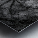 Curvy Dusk Walkway Metal print