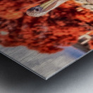 Pier Perch: A Quest for the Majestic Pelican at Saint Simons Island Georgia Metal print