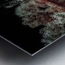 Providence Canyon Georgia Metal print