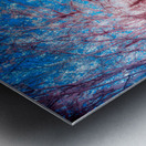 Pink Park Metal print