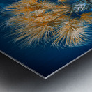 Neptune Park Oasis: A Pictorial Tale of Saint Simons Island Bliss Metal print