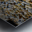 Shoreline Symphony Metal print