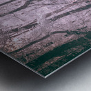 Whispering Woods: Exploring the Enchantment of Abbots Mill Metal print