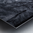 Mystical Reverie: Infrared Wonders of Abbotts Mills Swamp Vista Impression metal