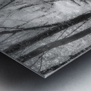 Woodland Whisper from Delawares Heart Metal print