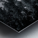 Monochrome Serenade: Abbotts Pond Delaware Metal print